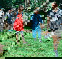 Let's Go Buggin  Let's Go Shroomin - Photography  Nature Walking Tours - Accommodation Port Hedland