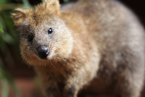 WILD LIFE Sydney Entrance Ticket - Accommodation Port Hedland 4