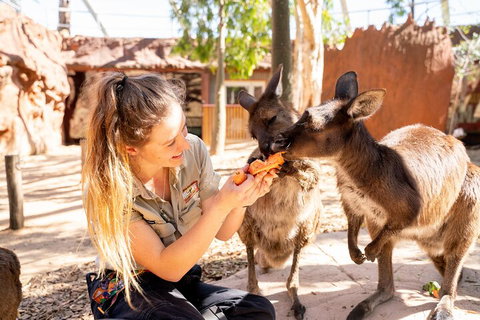 WILD LIFE Sydney Entrance Ticket - Accommodation Port Hedland 5