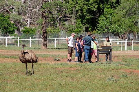 Yura Udnyu - Our Culture, Your Culture (Aboriginal Cultural Walk) - Accommodation Port Hedland 1