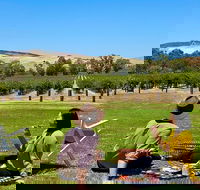 Private Picnic and Wine Tasting Experience in Barossa Valley - Accommodation Port Hedland