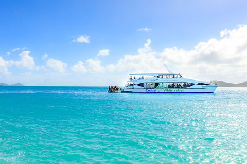 Whitehaven Beach And Daydream Island Cruise - Accommodation Port Hedland 2