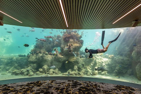 Whitehaven Beach And Daydream Island Cruise - Accommodation Port Hedland 4