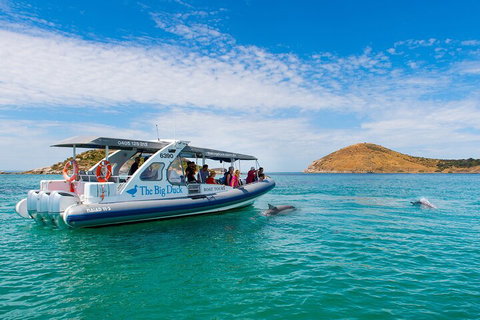 Southern Ocean Adventure From Victor Harbor - Accommodation Port Hedland 1