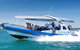 Southern Ocean Adventure From Victor Harbor - thumb 5