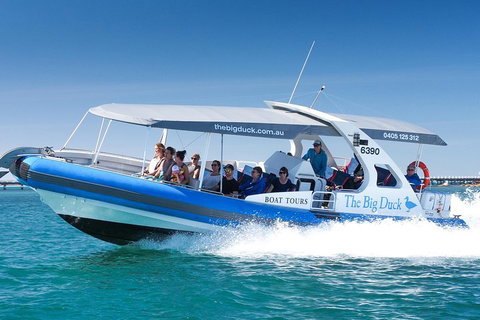 Southern Ocean Adventure From Victor Harbor - Accommodation Port Hedland 5