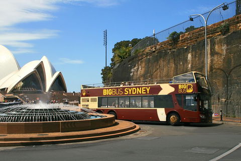 Big Bus Sydney And Bondi Hop-on Hop-off Tour - Accommodation Port Hedland 3