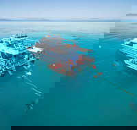 Ocean Freedom Great Barrier Reef Personal Luxury Snorkel  Dive Cruise Cairns - Accommodation Port Hedland