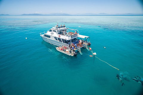 Ocean Freedom Great Barrier Reef Personal Luxury Snorkel & Dive Cruise, Cairns - Accommodation Port Hedland 0