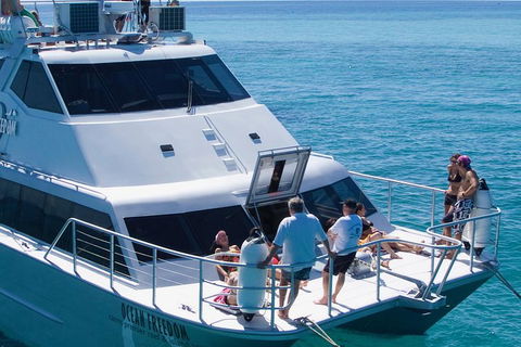Ocean Freedom Great Barrier Reef Personal Luxury Snorkel & Dive Cruise, Cairns - Accommodation Port Hedland 1