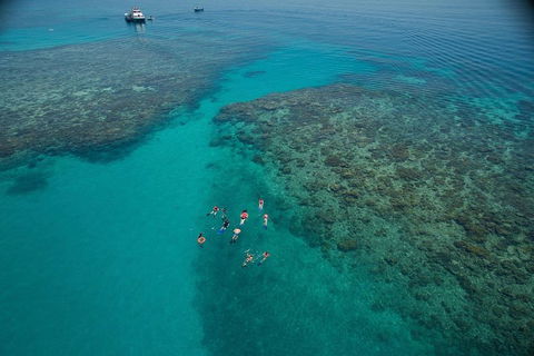 Ocean Freedom Great Barrier Reef Personal Luxury Snorkel & Dive Cruise, Cairns - Accommodation Port Hedland 3