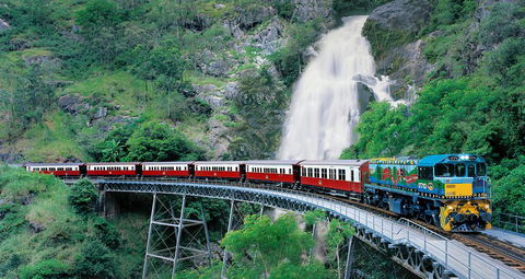 Classic Kuranda By Skyrail And Scenic Railway Including Rainforestation, Koala And Wildlife Park And Pamagirri Aboriginal Experi - Accommodation Port Hedland 1