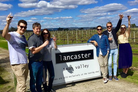 Swan Valley Tour From Perth: Wine, Beer And Chocolate Tastings - Accommodation Port Hedland 1