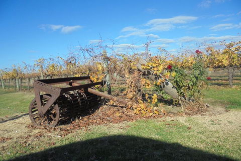 Swan Valley Tour From Perth: Wine, Beer And Chocolate Tastings - Accommodation Port Hedland 3