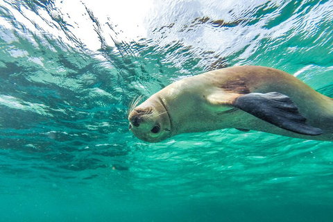 10-Day Adelaide To Perth Adventure Tour - Accommodation Port Hedland 1