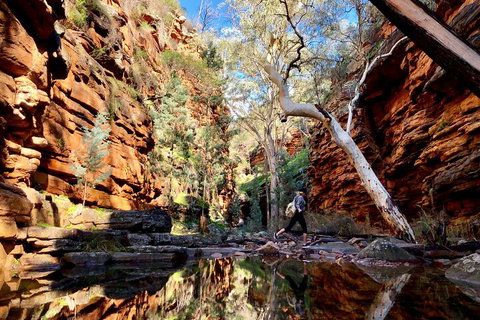 10-Day Adelaide To Perth Adventure Tour - Accommodation Port Hedland 5
