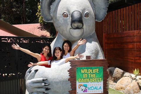 Kuranda Koala Gardens And Birdworld Admission Tickets - Accommodation Port Hedland 3