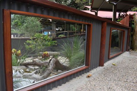 Kuranda Koala Gardens And Birdworld Admission Tickets - Accommodation Port Hedland 4