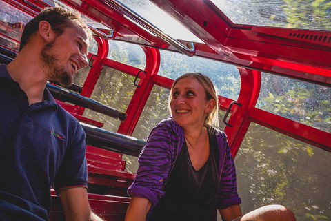 Blue Mountains Hop-on Hop-off Tour With Optional Scenic World Rides - Accommodation Port Hedland 5