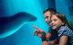SEA LIFE Sunshine Coast Aquarium Entrance Ticket - thumb 2