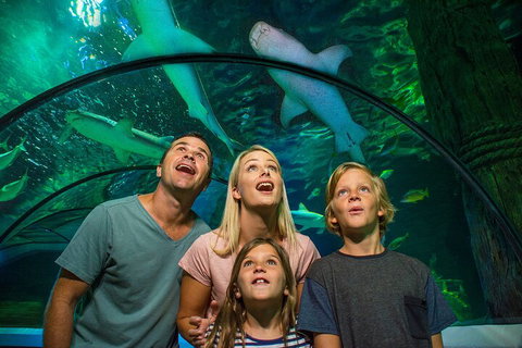 SEA LIFE Sunshine Coast Aquarium Entrance Ticket - Accommodation Port Hedland 3