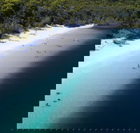 All-Inclusive Fraser Island Day Tour - Accommodation Port Hedland