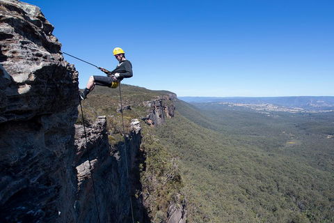 Half-Day Abseiling Adventure In Blue Mountains National Park - Accommodation Port Hedland 1
