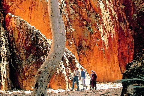 West MacDonnell Ranges Day Trip From Alice Springs - Accommodation Port Hedland 3
