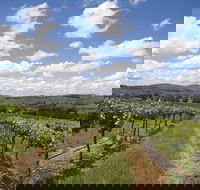 Hunter Valley Wine Tour from Sydney incl Lunch Cheese Chocolate and Distillery - Accommodation Port Hedland