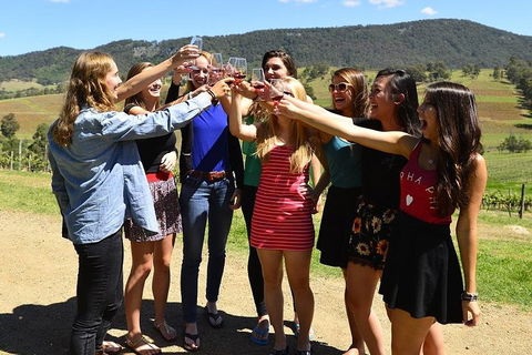 Hunter Valley Wine Tour From Sydney Incl Lunch, Cheese, Chocolate And Distillery - Accommodation Port Hedland 3
