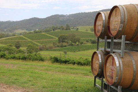 Hunter Valley Wine Tour From Sydney Incl Lunch, Cheese, Chocolate And Distillery - Accommodation Port Hedland 5