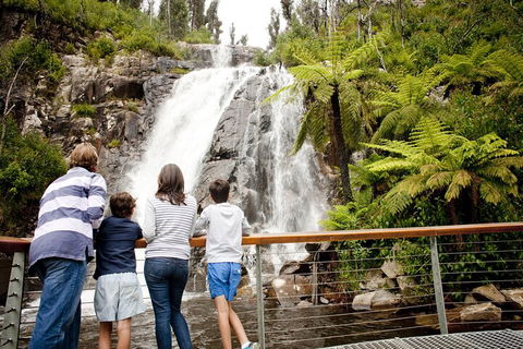 Lake Mountain Snow Trip Including Yarra Valley Chocolaterie From Melbourne - Accommodation Port Hedland 0