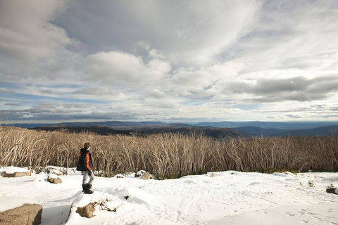 Lake Mountain Snow Trip Including Yarra Valley Chocolaterie From Melbourne - Accommodation Port Hedland 5