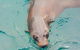 Wilsons Promontory Full Day Cruise - thumb 0