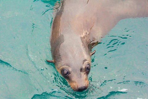 Wilsons Promontory Full Day Cruise - Accommodation Port Hedland 0