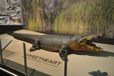 Explore Darwin City Sights Including Key Attractions - Accommodation Port Hedland 2