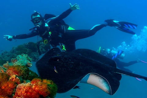 Scuba Dive The S.S. Yongala Wreck On The Great Barrier Reef. - Accommodation Port Hedland 0