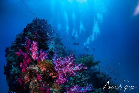 Scuba Dive The S.S. Yongala Wreck On The Great Barrier Reef. - Accommodation Port Hedland 2