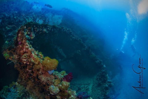 Scuba Dive The S.S. Yongala Wreck On The Great Barrier Reef. - Accommodation Port Hedland 3