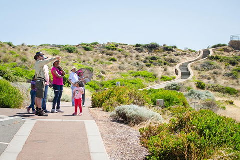 Margaret River Coastal And Wildlife Eco Trip From Busselton Or Dunsborough - Accommodation Port Hedland 0