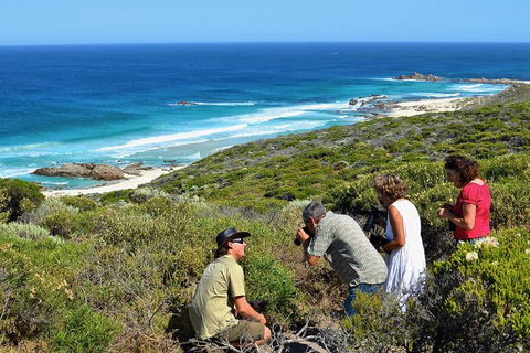 Margaret River Coastal And Wildlife Eco Trip From Busselton Or Dunsborough - Accommodation Port Hedland 2