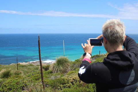Margaret River Coastal And Wildlife Eco Trip From Busselton Or Dunsborough - Accommodation Port Hedland 3
