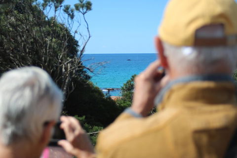 Margaret River Coastal And Wildlife Eco Trip From Busselton Or Dunsborough - Accommodation Port Hedland 5